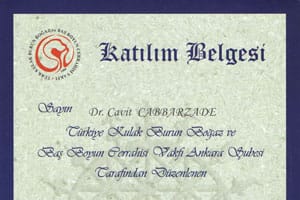 Orta Kulak İmplantları — TKBBV Ankara Şubesi, 17 Kasım 2011