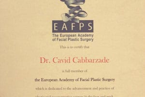 European Academy of Facial Plastic Surgery (EAFPS) — full member, 19 August 2014