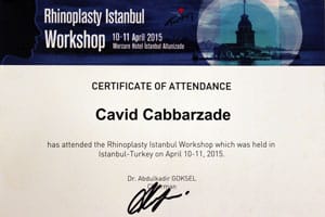 Rhinoplasty Istanbul Workshop — Istanbul, 10–11 April 2015
